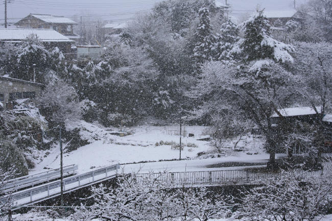 f0017530_21163110.jpg