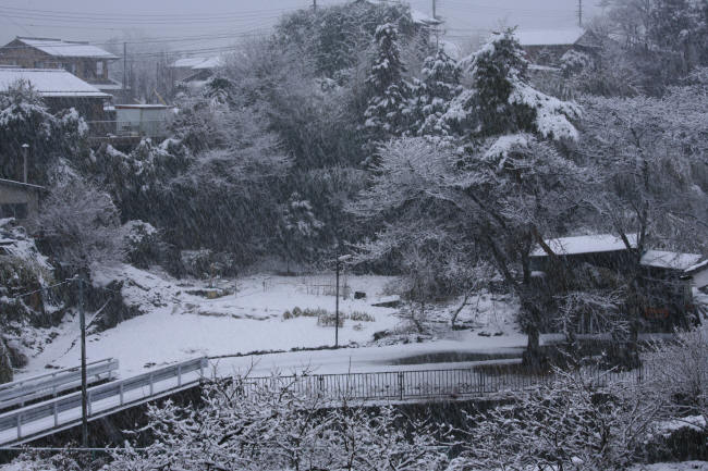 f0017530_21164516.jpg