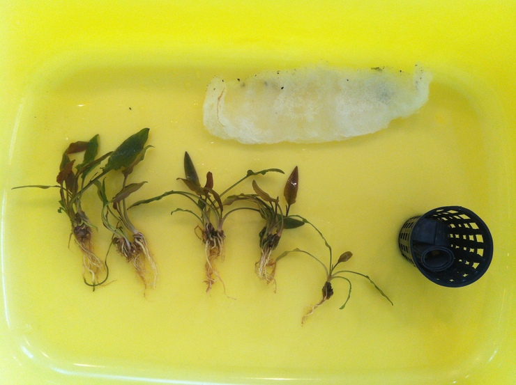 c0250835_15221179.jpg