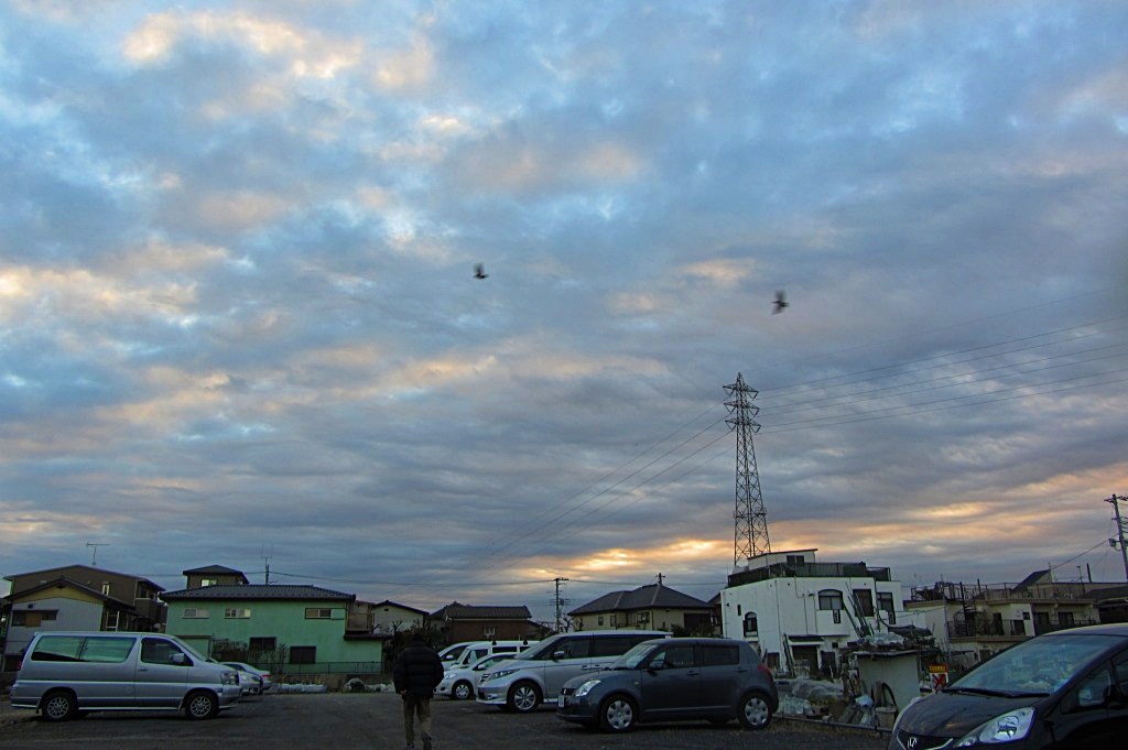 e0052135_22482421.jpg