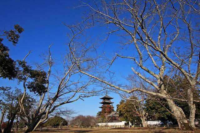 a0242438_1923298.jpg