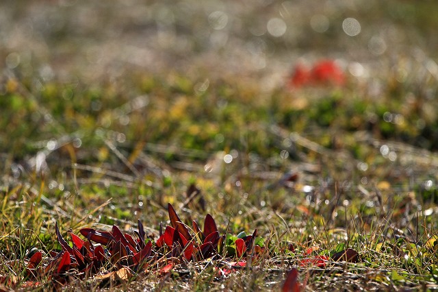 a0242438_19243932.jpg