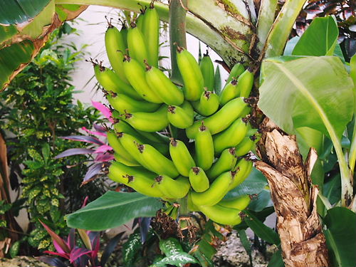 e0022839_2121058.jpg