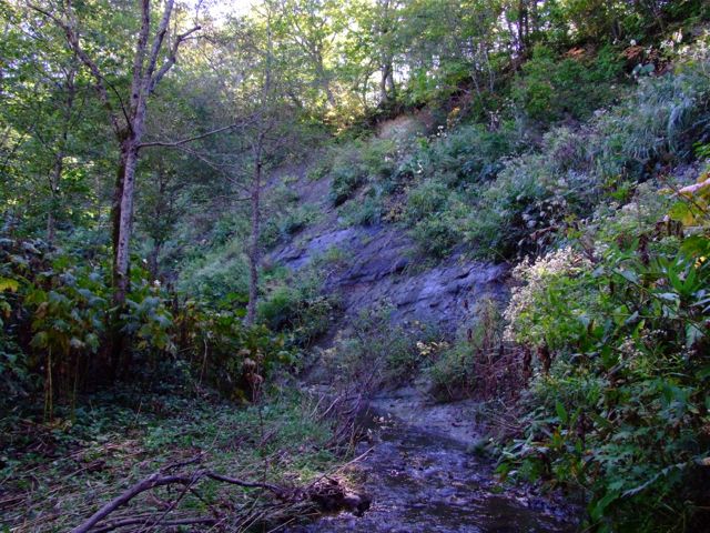 e0290546_17123263.jpg