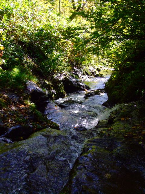 e0290546_17132694.jpg
