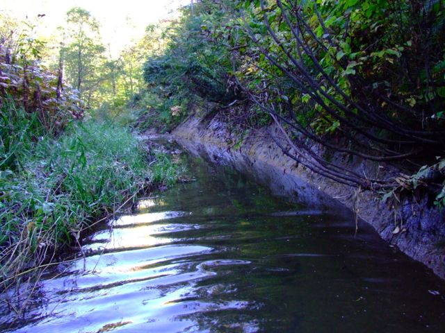 e0290546_1713332.jpg