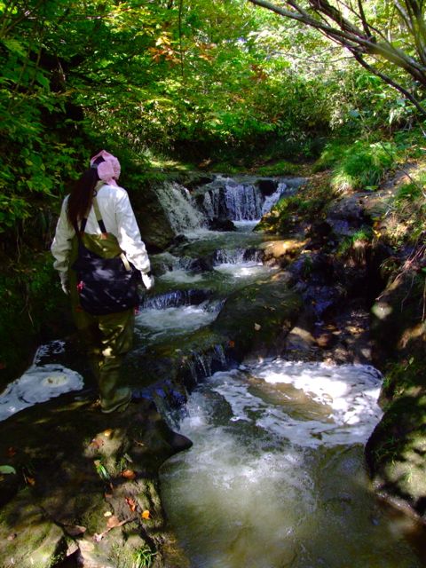 e0290546_17135338.jpg