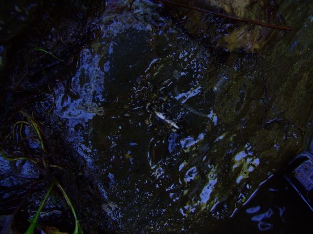 e0290546_17141978.jpg