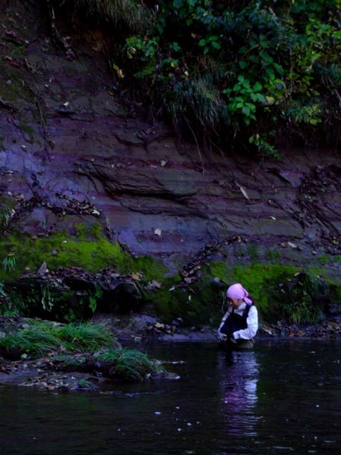 e0290546_17155145.jpg