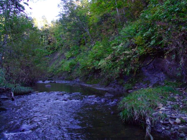 e0290546_17161181.jpg
