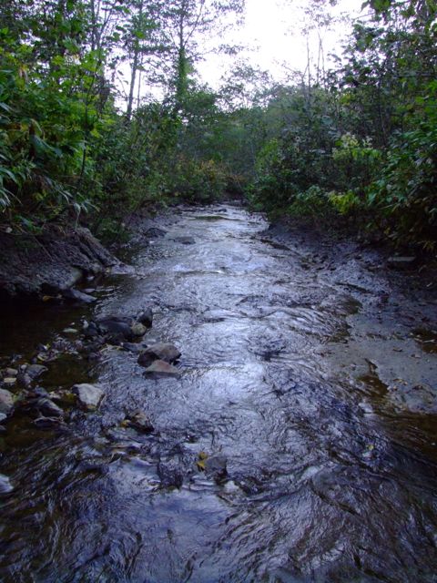e0290546_17192541.jpg