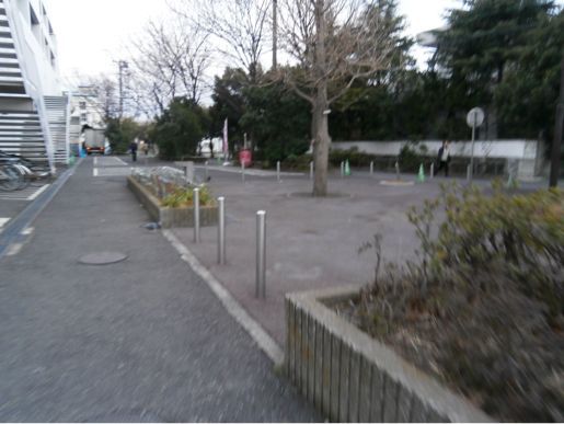 f0230961_6551981.jpg