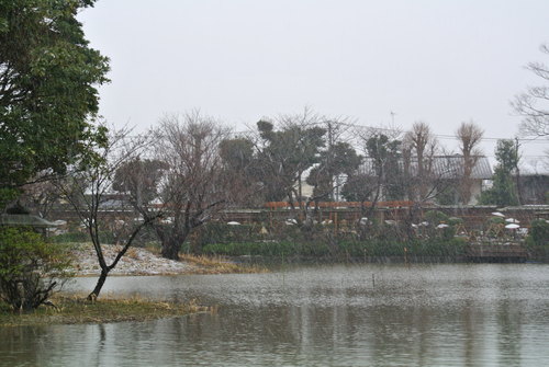 b0141664_1571769.jpg