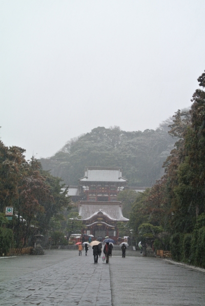 b0141664_1572371.jpg