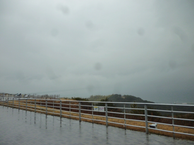 d0162564_129669.jpg