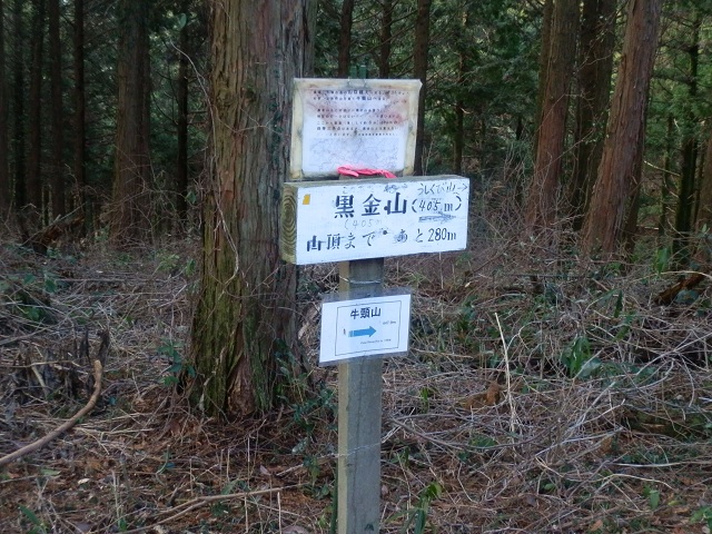 c0042869_19341036.jpg
