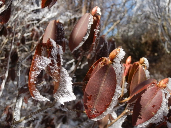 c0042869_2116681.jpg