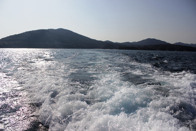 f0207669_17593231.jpg