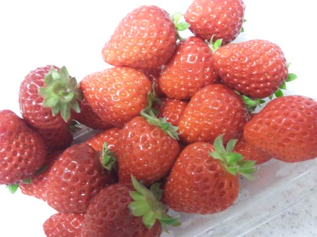 b0242873_0505057.jpg