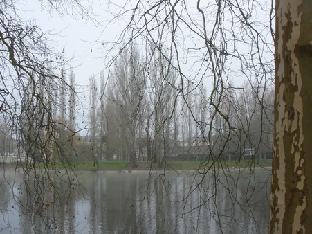 a0247585_5392626.jpg