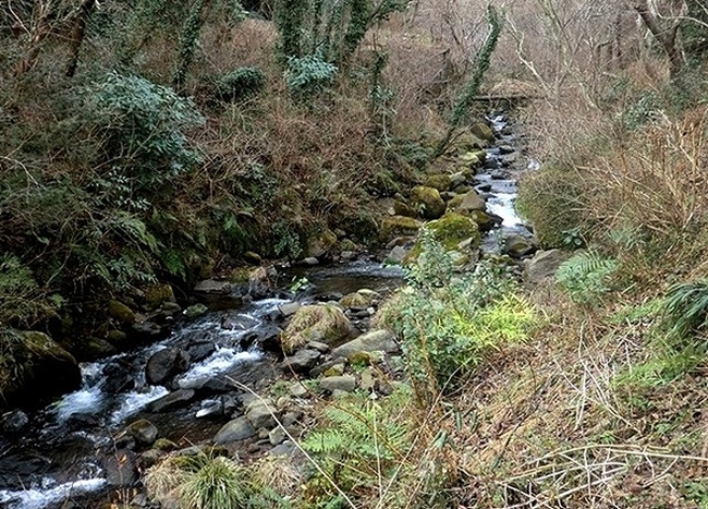 e0143690_1647336.jpg
