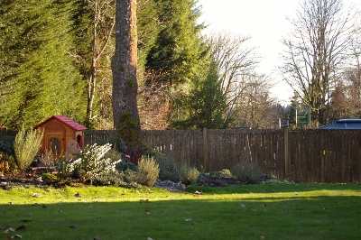 b0283192_1531045.jpg