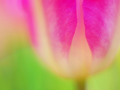 f0201297_8415712.jpg