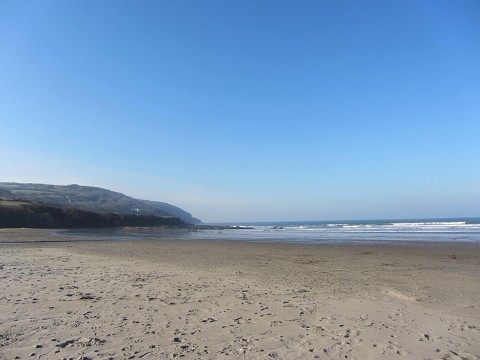 b0110999_543988.jpg