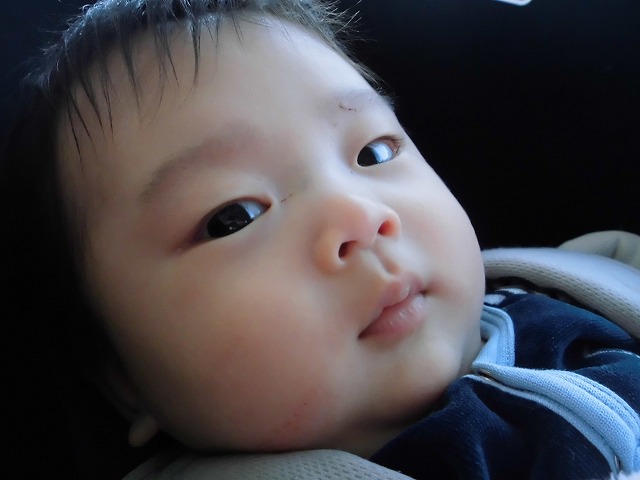 f0202703_22501394.jpg