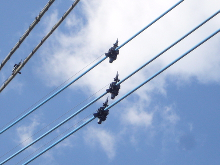 c0167004_16392516.jpg