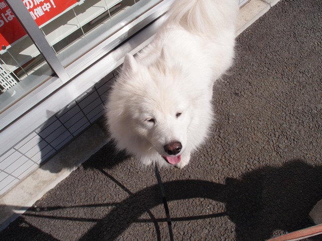 e0018604_1518731.jpg
