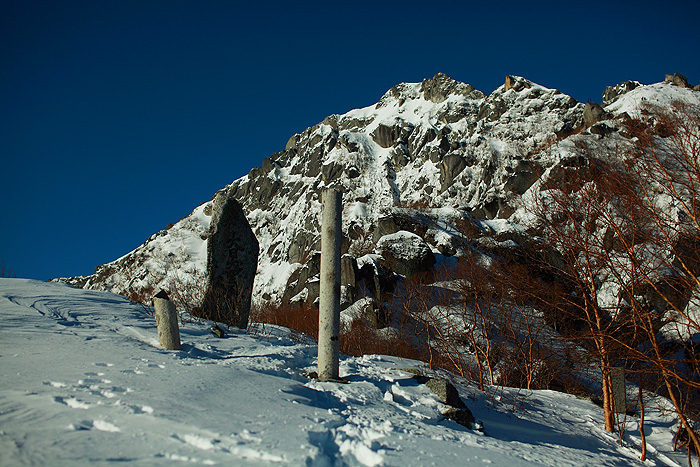 a0148606_15584755.jpg