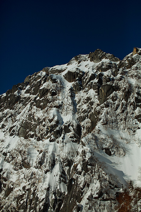 a0148606_1643530.jpg