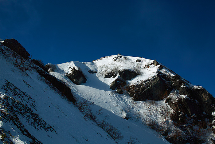 a0148606_167680.jpg