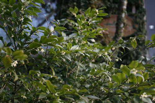a0139007_8514975.jpg