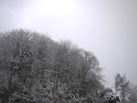 d0166614_21312962.jpg