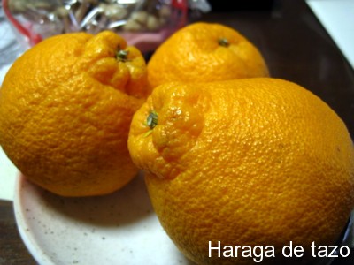 f0155614_23563122.jpg