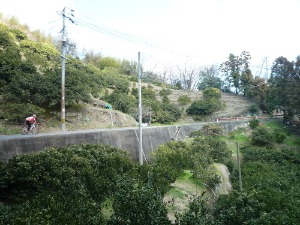 f0111015_18172747.jpg
