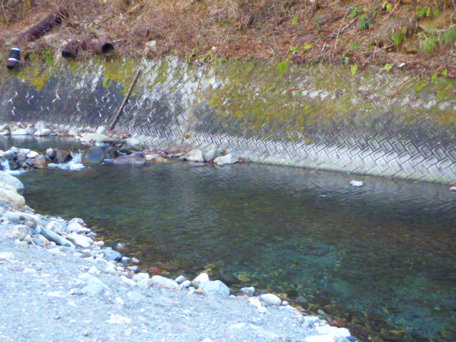 b0195927_2248279.jpg