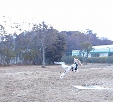 c0075429_22155340.jpg