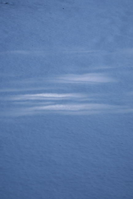f0017530_233730.jpg