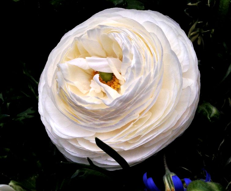 e0149934_2155669.jpg