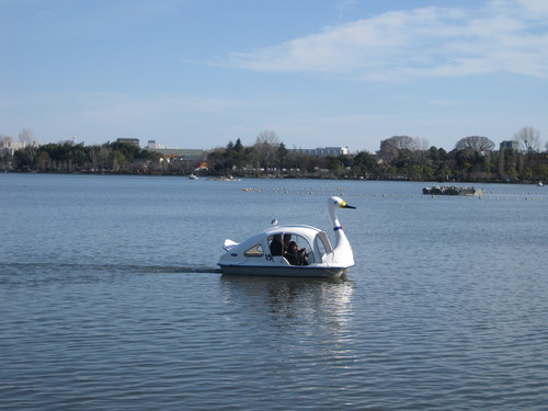 b0167736_21411173.jpg
