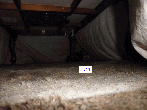 c0136736_15345189.gif