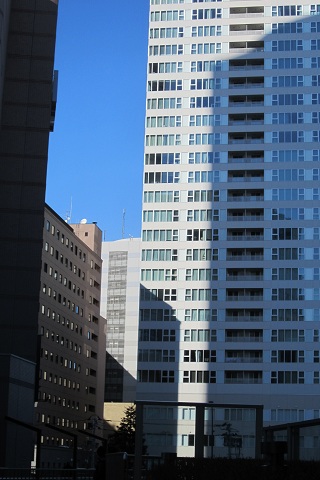 e0291638_1642308.jpg