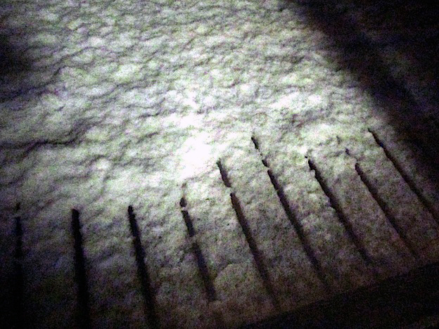 f0178153_10112794.jpg