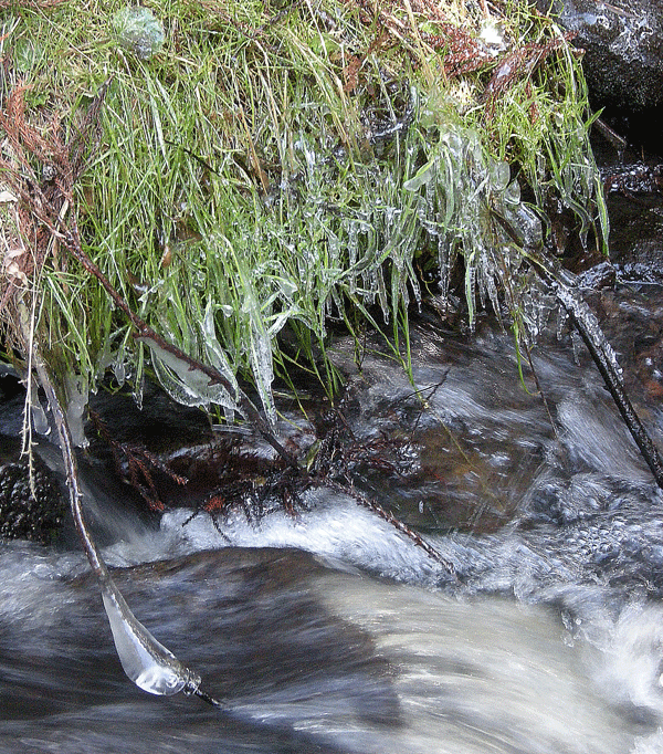 a0001354_2359139.gif