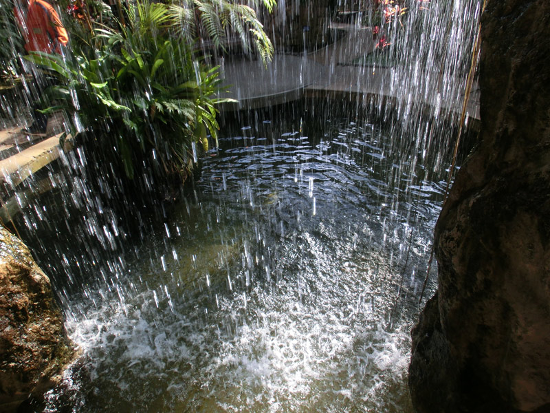 d0100156_202761.jpg