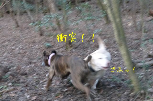 f0177261_2232341.jpg