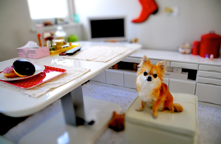 c0026870_1845620.jpg